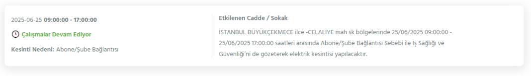 Bu gece yarısından itibaren başlıyor: İstanbul'un 21 ilçesi karanlığa gömülecek 17